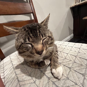 Meet your Posher, Ian